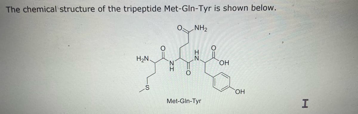 The chemical structure of the tripeptide Met-Gln-Tyr is shown below.
NH2
H2N.
HO.
Met-GIn-Tyr
IZ
