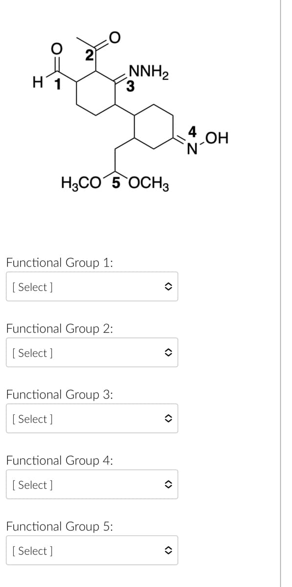 NNH2
4 ОН
4OH
'N'
H3CO 5 OCH3
Functional Group 1:
[ Select ]
Functional Group 2:
[ Select ]
Functional Group 3:
[ Select ]
Functional Group 4:
[ Select ]
Functional Group 5:
[ Select ]
<>
<>
<>
<>
