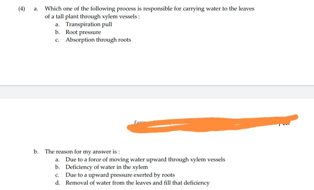 (4)
a. Which one of the following process is responsible for carrying water to the leaves
of a tall plant through xylem vessels :
a. Transpiration pull
b. Root pressure
c.
b.
Absorption through roots
Euron
The reason for my answer is:
a. Due to a force of moving water upward through xylem vessels
b. Deficiency of water in the xylem
C. Due to a upward pressure exerted by roots
d. Removal of water from the leaves and fill that deficiency