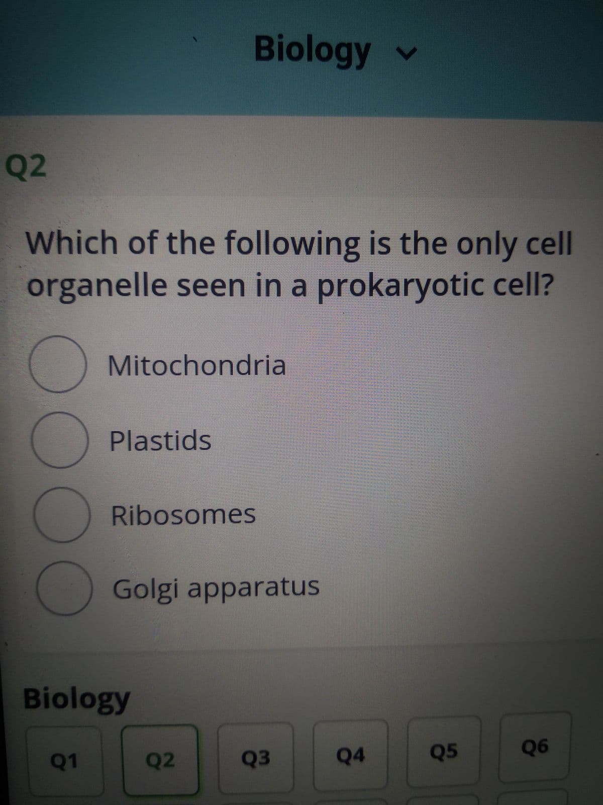 Biology v
Q2
Which of the following is the only cell
organelle seen in a prokaryotic cell?
Mitochondria
Plastids
Ribosomes
Golgi apparatus
Biology
Q1
Q2
Q3
Q4
Q5
Q6
