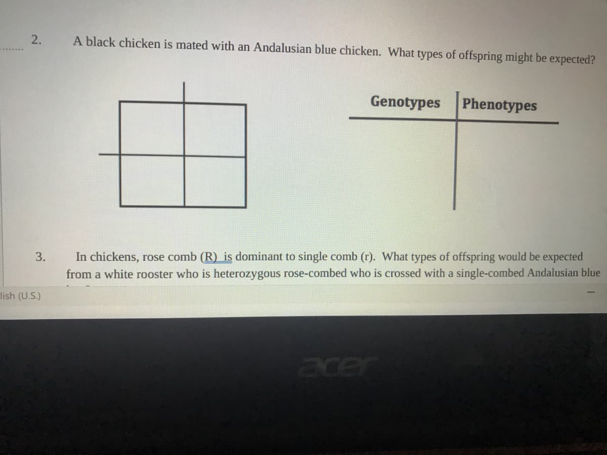 2.
A black chicken is mated with an Andalusian blue chicken. What types of offspring might be expected?
Genotypes
Phenotypes
In chickens, rose comb (R) is dominant to single comb (r). What types of offspring would be expected
from a white rooster who is heterozygous rose-combed who is crossed with a single-combed Andalusian blue
3.
lish (U.S.)
acer
