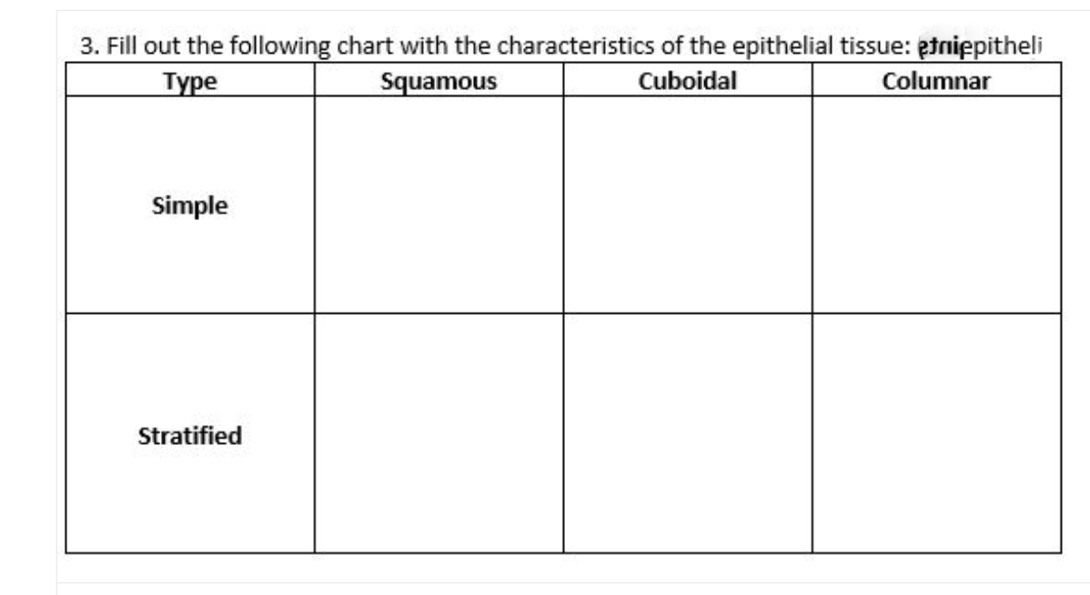 3. Fill out the following chart with the characteristics of the epithelial tissue: etniepitheli
Columnar
Туре
Squamous
Cuboidal
Simple
Stratified
