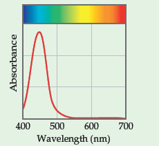 400
500
600
700
Wavelength (nm)
Absorbance
