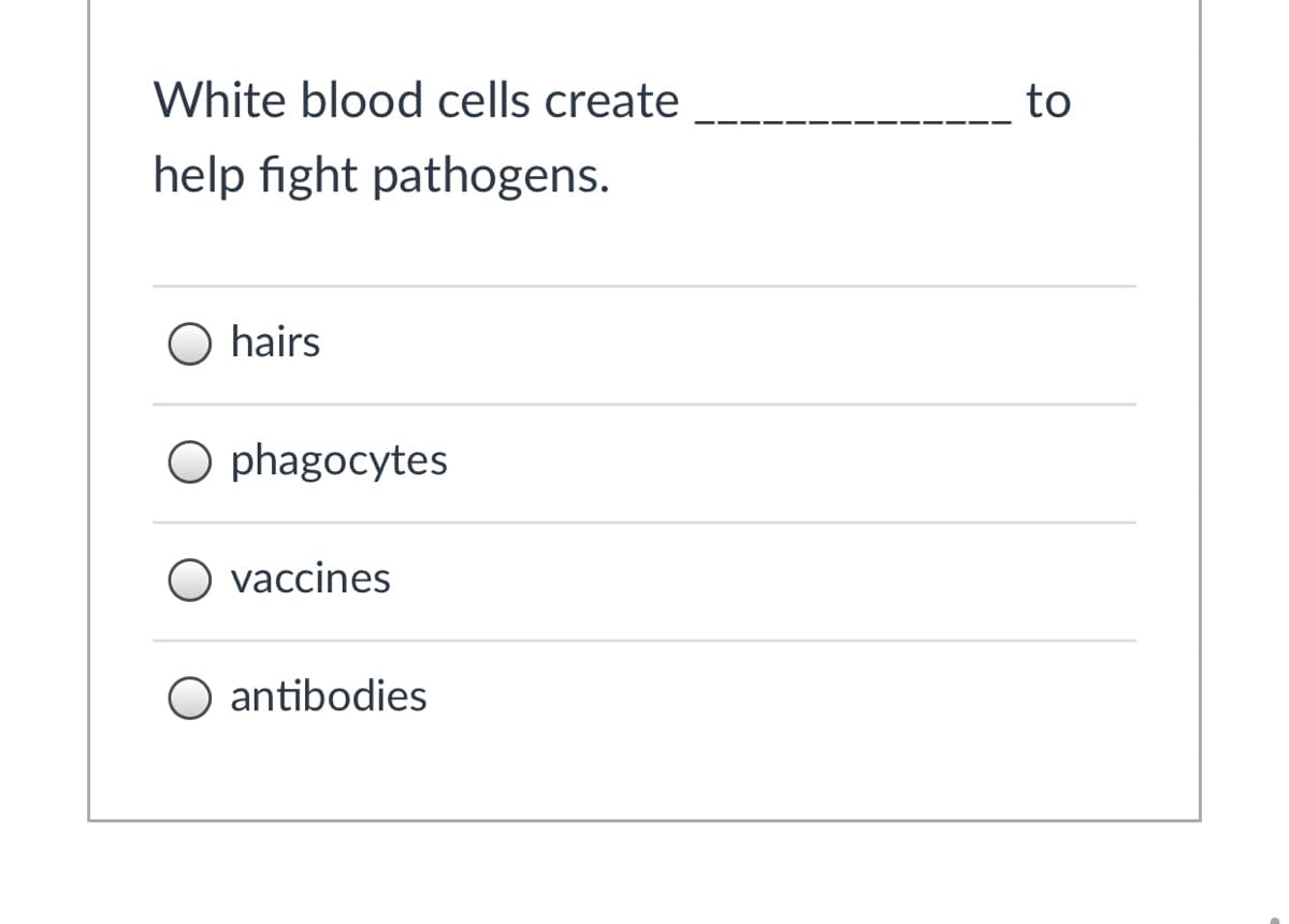 White blood cells create
to
help fight pathogens.
hairs
O phagocytes
O vaccines
O antibodies

