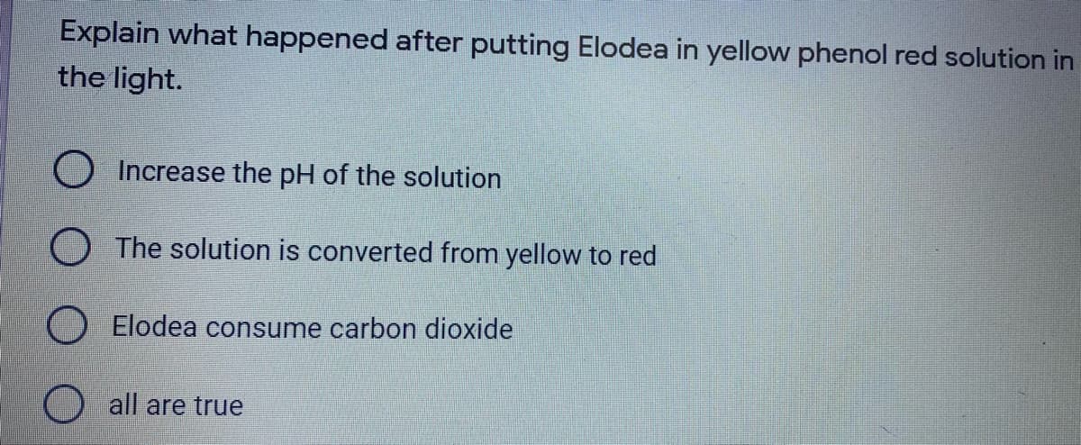 Explain what happened after putting Elodea in yellow phenol red solution in
the light.
O Increase the pH of the solution
O The solution is converted from yellow to red
Elodea consume carbon dioxide
all are true

