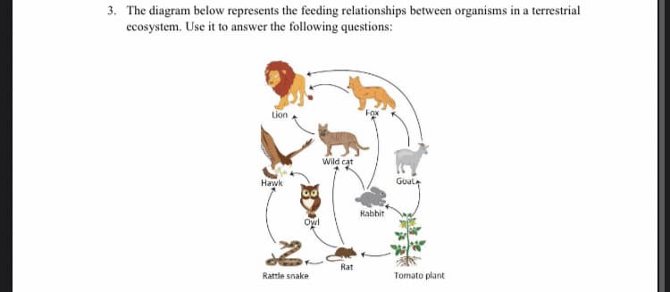 3. The diagram below represents the feeding relationships between organisms in a terrestrial
ecosystem. Use it to answer the following questions:
Lion
Fox
Wild cat
Hawk
Goata
Rabbit
Owl
Rat
Rattle snake
Tomato plant
