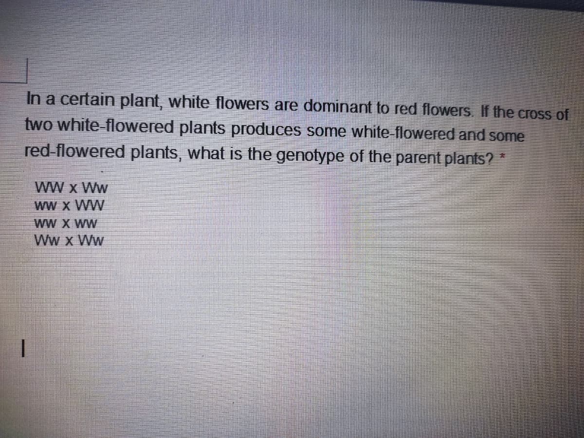 In a certain plant, white flowers are dominant to red flowers. If the cress of
two white-flowered plants produces some white-flowered and some
red-flowered plants, what is the genotype of the parent plants?
WW x Ww
wW x WW
Ww x Ww
MW X MW
