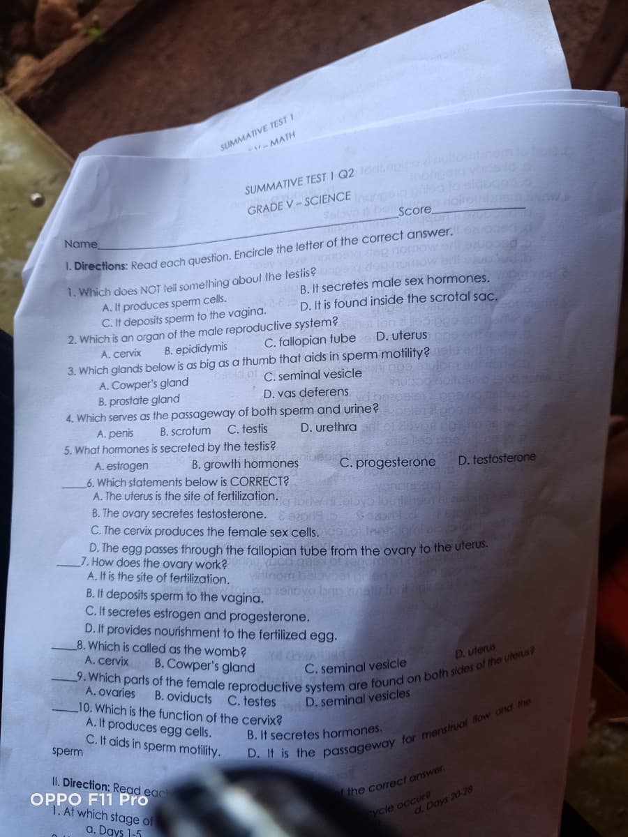 SUMMATIVE TEST I
- MATH
nongs
GRADE V- SCIENCE naptod.to
Soloyo o bair Scoreo
Name
1. Directions: Read each question, Encircle the letter of the correct answer. e
1. Which does NOT tell somelhing about the testis? pexq depomow a
A. It produces sperm cells.
C. It deposits spem to the vagina. D. It is found inside the scrotal sac.
B. It secretes male sex hormones.
2. Which is an organ of the male reproductive system?
B. epididymis
C. fallopian tube
D. uterus
A. cervix
3. Which glands below is as big as a thumb that aids in sperm motility?
A. Cowper's gland
B. prostate gland
4. Which serves as the passageway of both sperm and urine?
A. penis
d of C. seminal vesicle
D. vas deferens
B. scrotum
C. testis
D. urethra
5. What hormones is secreted by the testis?
A. estrogen
6. Which statements below is CORRECT?
A. The uterus is the site of fertilization.
B. growth hommones
C. progesterone
D. testosterone
B. The ovary secretes testosterone. E
C. The cervix produces the female sex cells.,co lneh oni ola
D. The egg passes through the fallopian tube from the ovary to the uterus.
7. How does the ovary work?
A. If is the site of fertilization.
B. It deposits sperm to the vagina.
C. It secretes estrogen and progesterone.
D. It provides nourishment to the fertilized egg.
8. Which is called as the womb?
A. cervix
1ELVKED BA
C. seminal vesicle
B. Cowper's gland
D. uterus
A. ovaries
10. Which is the function of the cervix?
A. It produces egg cells.
C. It aids in sperm motility.
B. oviducts
C. testes
D. seminal vesicles
B. It secretes hormones.
sperm
II. Direction; Read each
OPPO F11 Pro
1. At which stage of
the correct answer.
ycle occure
d. Days 20-28
a. Days 1-5
