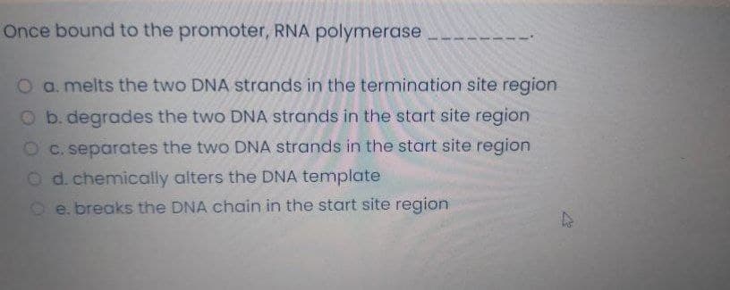 Once bound to the promoter, RNA polymerase
O a. melts the two DNA strands in the termination site region
O b. degrades the two DNA strands in the start site region
O C. separates the two DNA strands in the start site region
O d. chemically alters the DNA template
O e. breaks the DNA chain in the start site region
