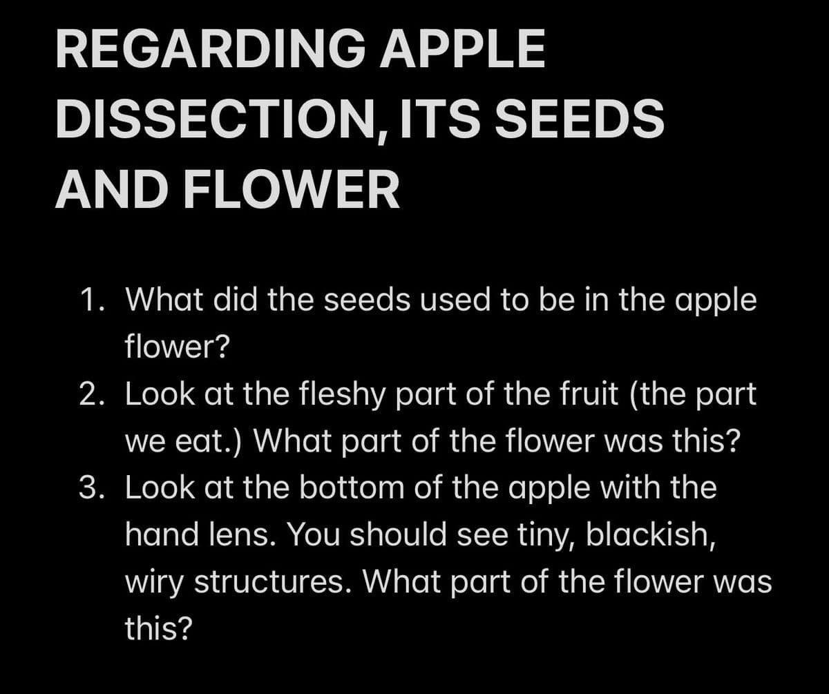 REGARDING APPLE
DISSECTION, ITS SEEDS
AND FLOWER
1. What did the seeds used to be in the apple
flower?
2. Look at the fleshy part of the fruit (the part
we eat.) What part of the flower was this?
3. Look at the bottom of the apple with the
hand lens. You should see tiny, blackish,
wiry structures. What part of the flower was
this?
