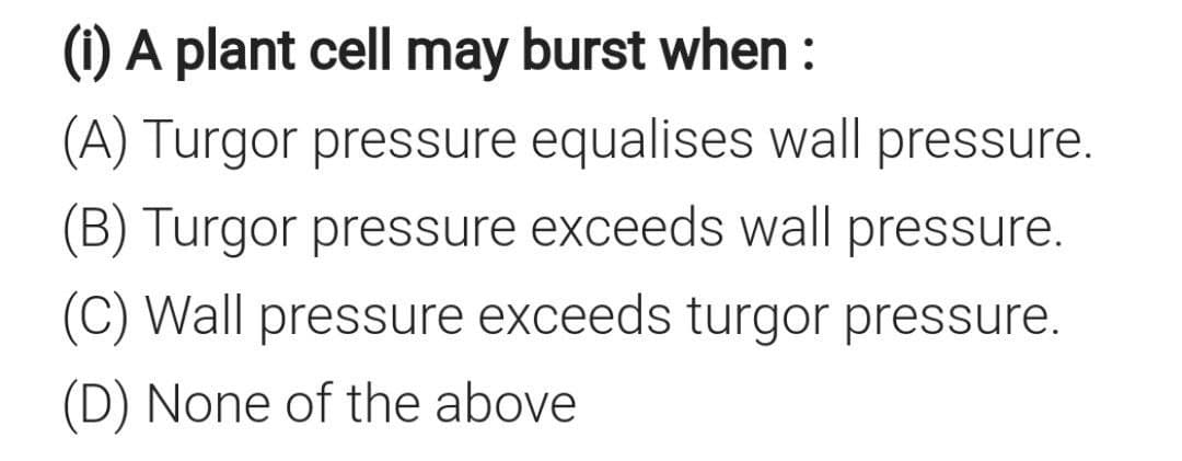 (1) A plant cell may burst when :
(A) Turgor pressure equalises wall pressure.
(B) Turgor pressure exceeds wall pressure.
(C) Wall pressure exceeds turgor pressure.
(D) None of the above
