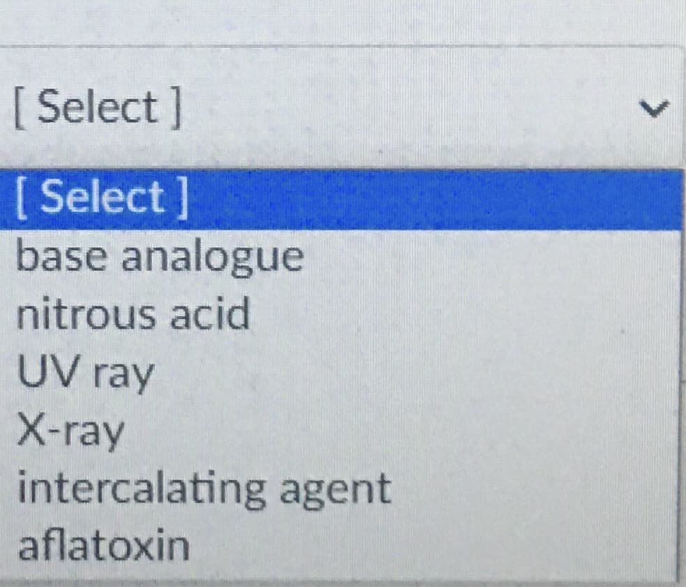 [ Select ]
[ Select ]
base analogue
nitrous acid
UV ray
X-ray
intercalating agent
aflatoxin
