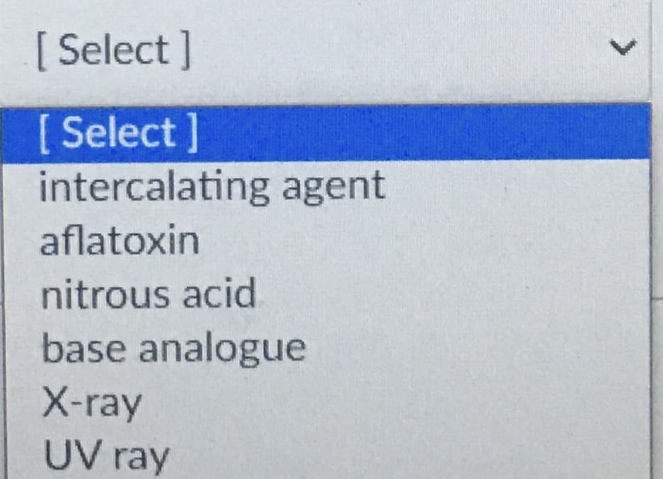 [ Select ]
[ Select]
intercalating agent
aflatoxin
nitrous acid
base analogue
X-ray
UV ray
<>
