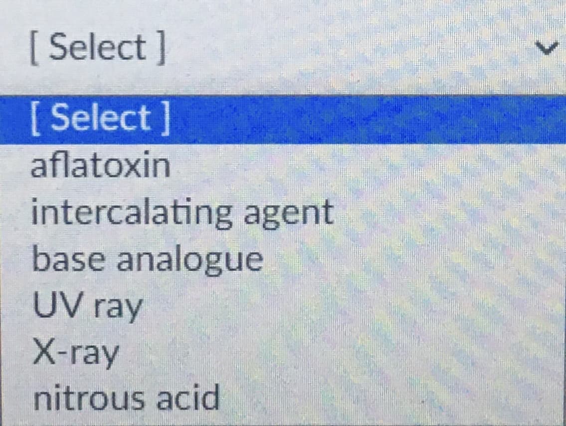 [Select]
[ Select]
aflatoxin
intercalating agent
base analogue
UV ray
X-ray
nitrous acid
