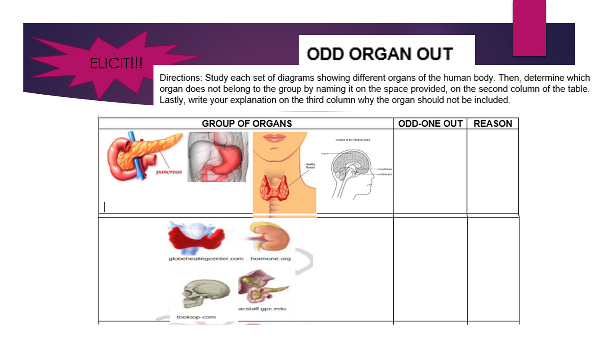 ELICIT!!!
ODD ORGAN OUT
Directions: Study each set of diagrams showing different organs of the human body. Then, determine which
organ does not belong to the group by naming it on the space provided, on the second column of the table.
Lastly, write your explanation on the third column why the organ should not be included.
GROUP OF ORGANS
ODD-ONE OUT REASON
de of the king Sled
pancreas
globehealingcenter.com hormone.org
acstat.gpc.edu
tooloop.com