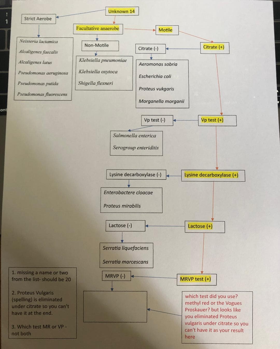 Unknown 14
Strict Aerobe
Facultative anaerobe
Motile
Neisseria lactamica
Non-Motile
Citrate (-)
Citrate (+)
Alcaligenes faecalis
Klebsiella pneumoniae
Alcaligenes latus
Aeromonas sobria
Pseudomonas aeruginosa
Klebsiella oxytoca
Escherichia coli
Pseudomonas putida
Shigella flexneri
Proteus vukgaris
Pseudomonas fluorescens
Morganella morganii
cont
Vp test (-)
Vp test (+)
Salmonella enterica
Serogroup enteriditis
Lysine decarboxylase (-)
Lysine decarboxylase (+)
Enterobactere cloacae
Proteus mirabilis
Lactose (-)
Lactose (+)
Serratia liquefaciens
Serratia marcescans
1. missing a name or two
from the list- should be 20
MRVP (-)
MRVP test (+)
2. Proteus Vulgaris
(spelling) is eliminated
under citrate so you can't
which test did you use?
methyl red or the Vogues
Proskauer? but looks like
have it at the end.
you eliminated Proteus
vulgaris under citrate so you
can't have it as your result
3. Which test MR or VP -
not both
here
