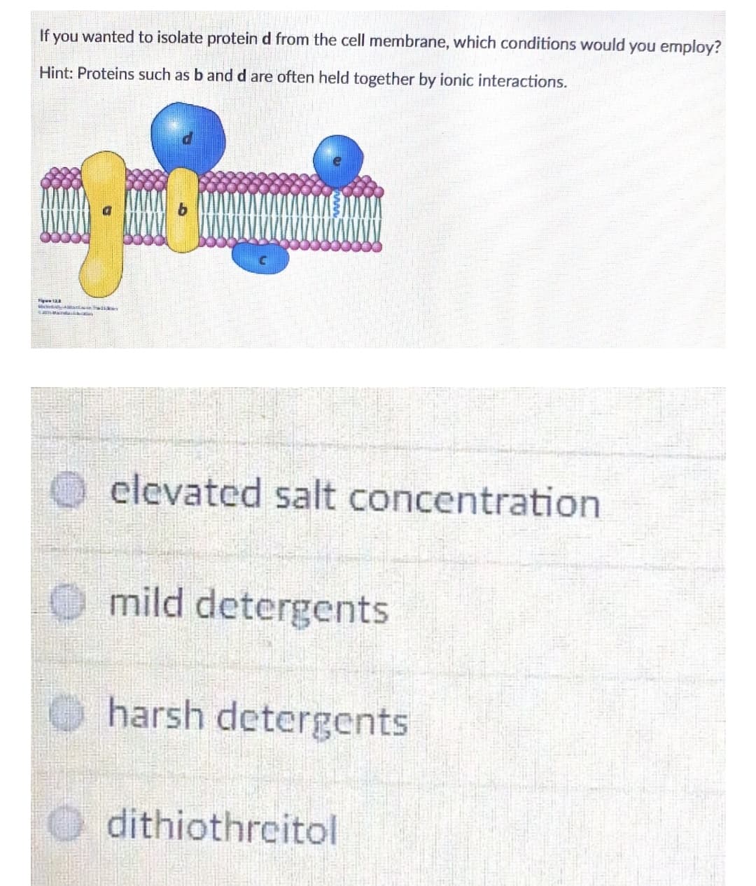 If you wanted to isolate protein d from the cell membrane, which conditions would you employ?
Hint: Proteins such as b and d are often held together by ionic interactions.
att tha
elevated salt concentration
mild detergents
harsh detergents
dithiothreitol
