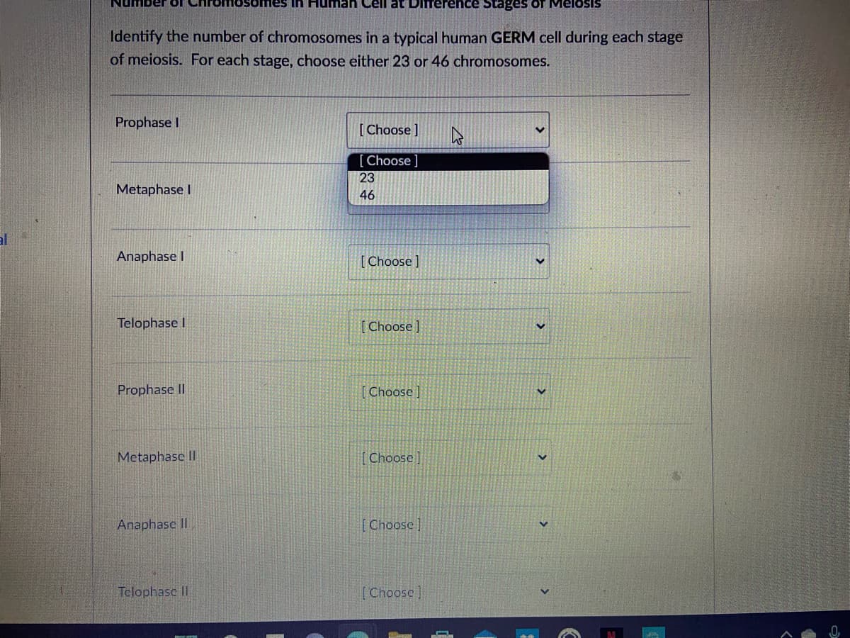 In Human Cell at Difference Stages of MeloSIS
Identify the number of chromosomes in a typical human GERM cell during each stage
of meiosis. For each stage, choose either 23 or 46 chromosomes.
Prophase I
[Choose ]
[Choose ]
23
Metaphase I
46
Anaphase I
[ Choose ]
Telophase I
[ Choose ]
Prophase II
Choose ]
Metaphase I
[Choose]
Anaphase II.
[Choose ]
Telophase II
(Choose)

