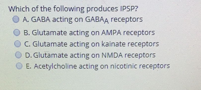 Which of the following produces IPSP?
A. GABA acting on GABAA receptors
B. Glutamate acting on AMPA receptors
C. Glutamate acting on kainate receptors
D. Glutamate acting on NMDA receptors
E. Acetylcholine acting on nicotinic receptors
