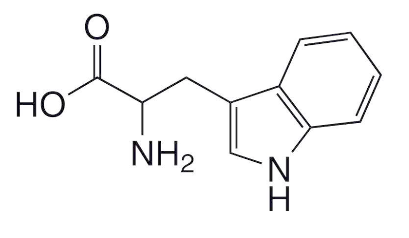 НО
NH2
ZI
