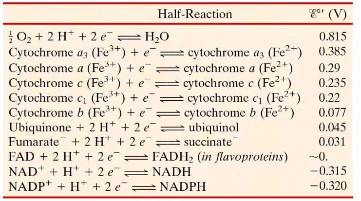 Half-Reaction
Eo' (V)
O, + 2 H* + 2 e =H,O
Cytochrome az (Fe**) + e¯= cytochrome az (Fe2+)
Cytochrome a (Fe**) + e
Cytochrome c (Fe**) + e
Cytochrome c, (Fe**) + e
Cytochrome b (Fe³+) + e¯
Ubiquinone + 2 H* +2 e =
Fumarate + 2 H* + 2 e succinate
FAD + 2 H+ + 2 e
NAD+ + H+ + 2 e
NADP+ + H* + 2 e
0.815
3-
0.385
= cytochrome a (Fe2+)
cytochrome c (Fe²+)
= cytochrome c (Fe2+)
cytochrome b (Fe²+)
ubiquinol
0.29
0.235
0.22
0.077
0.045
0.031
FADH2 (in flavoproteins)
~0.
NADH
-0.315
|
= NADPH
-0.320
