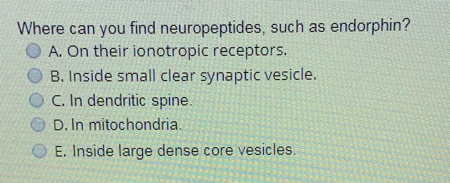 Where can you find neuropeptides, such as endorphin?
A. On their ionotropic receptors.
B. Inside small clear synaptic vesicle.
C. In dendritic spine.
D. In mitochondria.
E. Inside large dense core vesicles.
主

