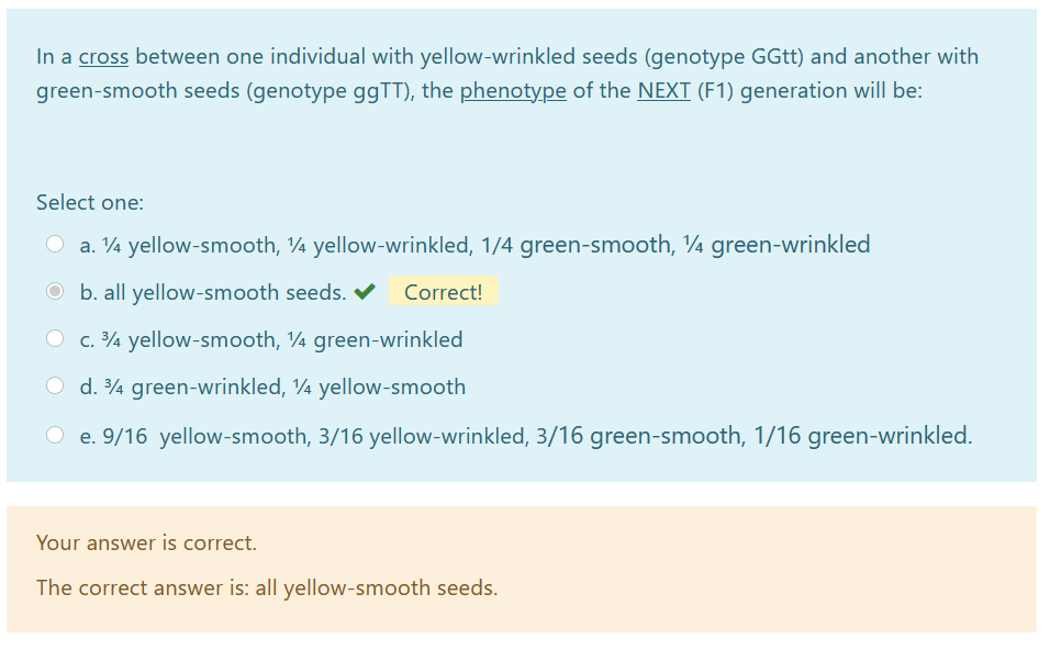 In a cross between one individual with yellow-wrinkled seeds (genotype GGtt) and another with
green-smooth seeds (genotype ggTT), the phenotype of the NEXT (F1) generation will be:
Select one:
O a. 4 yellow-smooth, ¼ yellow-wrinkled, 1/4 green-smooth, ¼ green-wrinkled
O b. all yellow-smooth seeds.
Correct!
O c. ¾ yellow-smooth, 4 green-wrinkled
O d. ¾ green-wrinkled, ¼ yellow-smooth
O e. 9/16 yellow-smooth, 3/16 yellow-wrinkled, 3/16 green-smooth, 1/16 green-wrinkled.
Your answer is correct.
The correct answer is: all yellow-smooth seeds.
