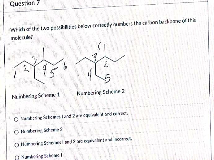Question 7
Which of the two possibilities below correctly numbers the carbon backbone of this
molecule?
Numbering Scheme 1
Numbering Scheme 2
O Numbering Schemes I and 2 are cquivalent and correct.
O Numbering Scheme 2
O Numbering Schemes I and 2 are cquivalent and incorrect.
O Numbering Scheme I
