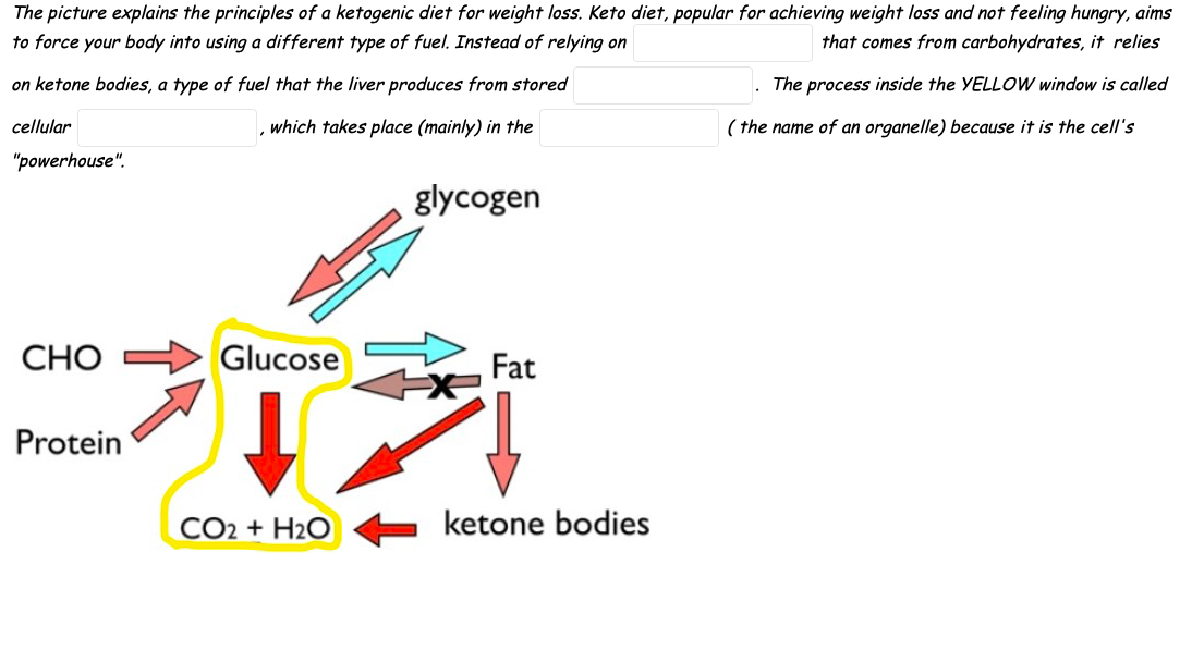 The picture explains the principles of a ketogenic diet for weight loss. Keto diet, popular for achieving weight loss and not feeling hungry, aims
to force your body into using a different type of fuel. Instead of relying on
that comes from carbohydrates, it relies
on ketone bodies, a type of fuel that the liver produces from stored
The process inside the YELLOW window is called
cellular
which takes place (mainly) in the
( the name of an organelle) because it is the cell's
"powerhouse".
