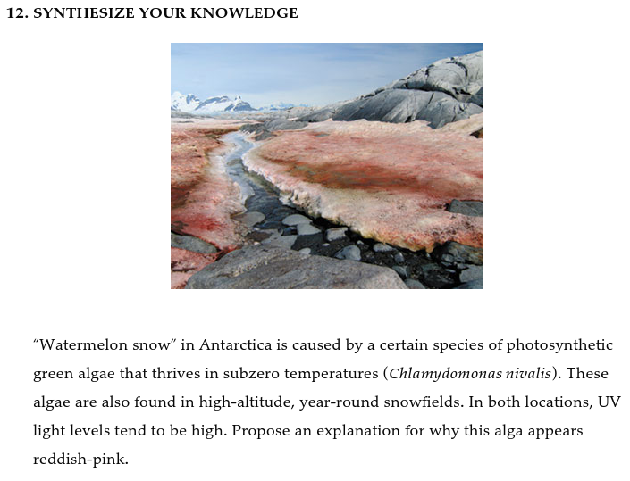 12. SYNTHESIZE YOUR KNOWLEDGE
"Watermelon snow" in Antarctica is caused by a certain species of photosynthetic
green algae that thrives in subzero temperatures (Chlamydomonas nivalis). These
algae are also found in high-altitude, year-round snowfields. In both locations, UV
light levels tend to be high. Propose an explanation for why this alga appears
reddish-pink.
