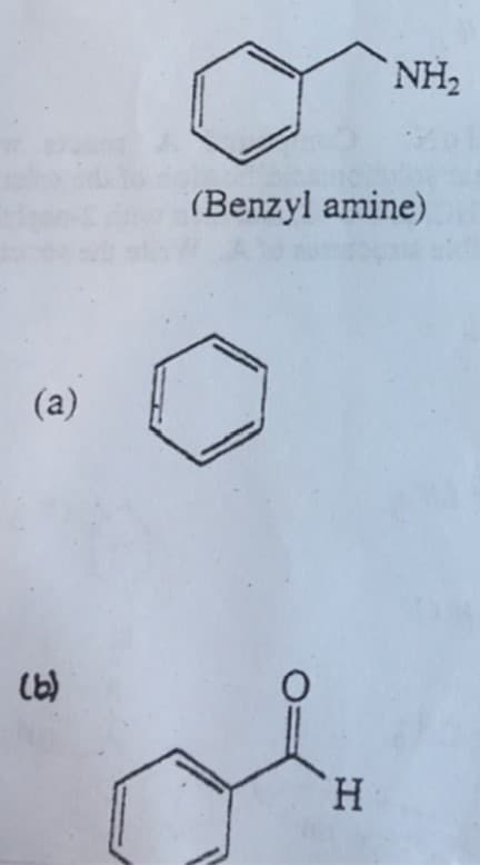 NH2
(Benzyl amine)
(a)
H.
