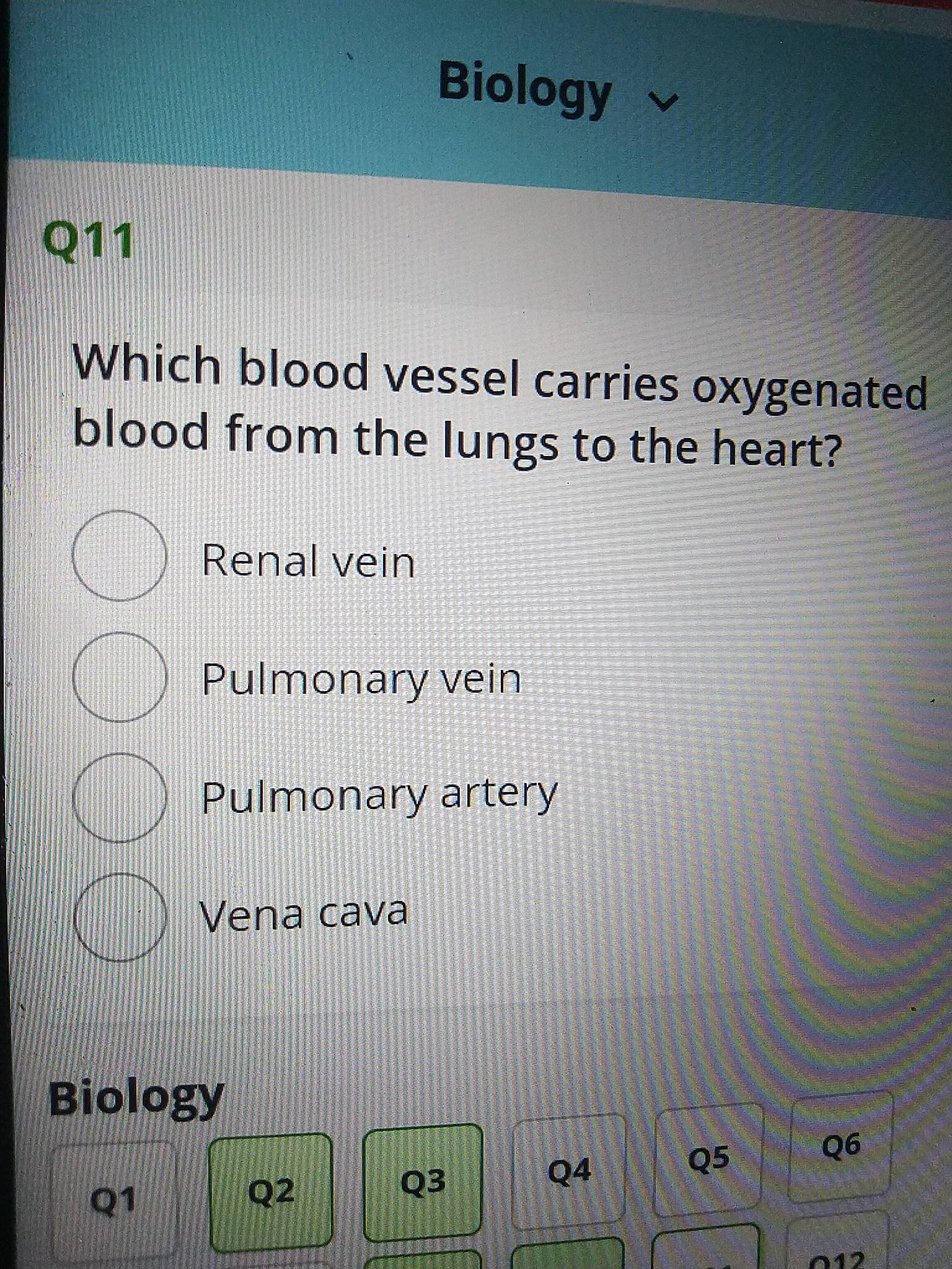 Biology
Which blood vessel carries oxygenated
blood from the lungs to the heart?
Renal vein
Pulmonary vein
Pulmonary artery
Vena cava
Biology
Q4
Q5
90
Q2
Q3
012
