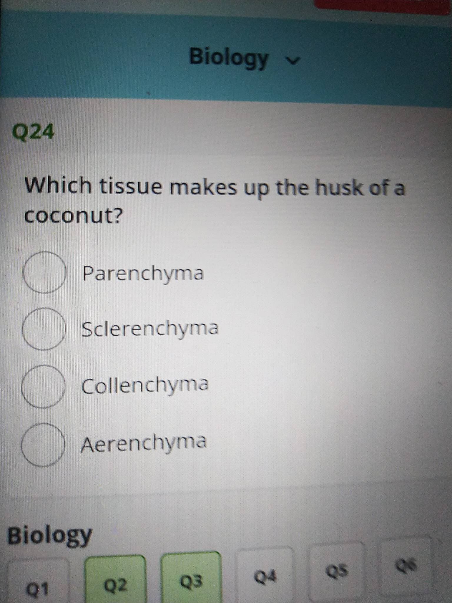 Biology v
Q24
Which tissue makes up the husk of a
coconut?
Parenchyma
Sclerenchyma
Collenchyma
Aerenchyma
Biology
Q1
Q2
Q3
