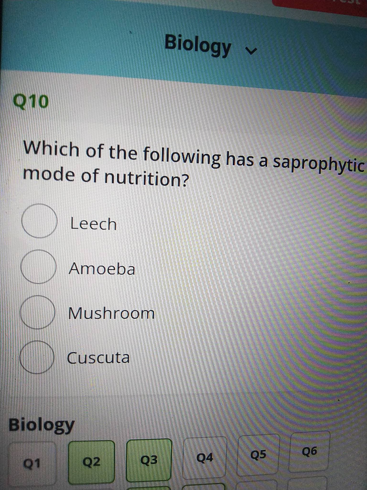 90
Biology
Which of the following has a saprophytic
mode of nutrition?
Leech
Amoeba
Mushroom
Cuscuta
Biology
Q4
Q5
Q2
Q3
