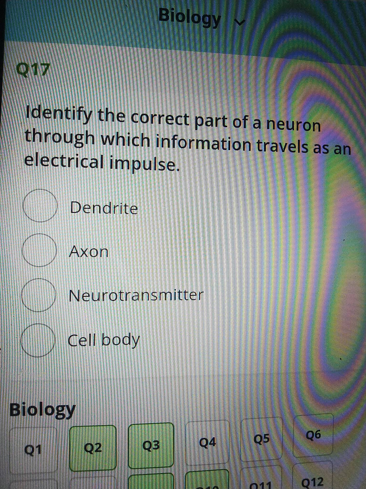 Biolögy
Identify the correct part of a neuron
through which information travels as an
electrical impulse.
Dendrite
Axon
Neurotransmitter
Cell body
Biology
Q4
Q5
90
Q2
011
Q12
