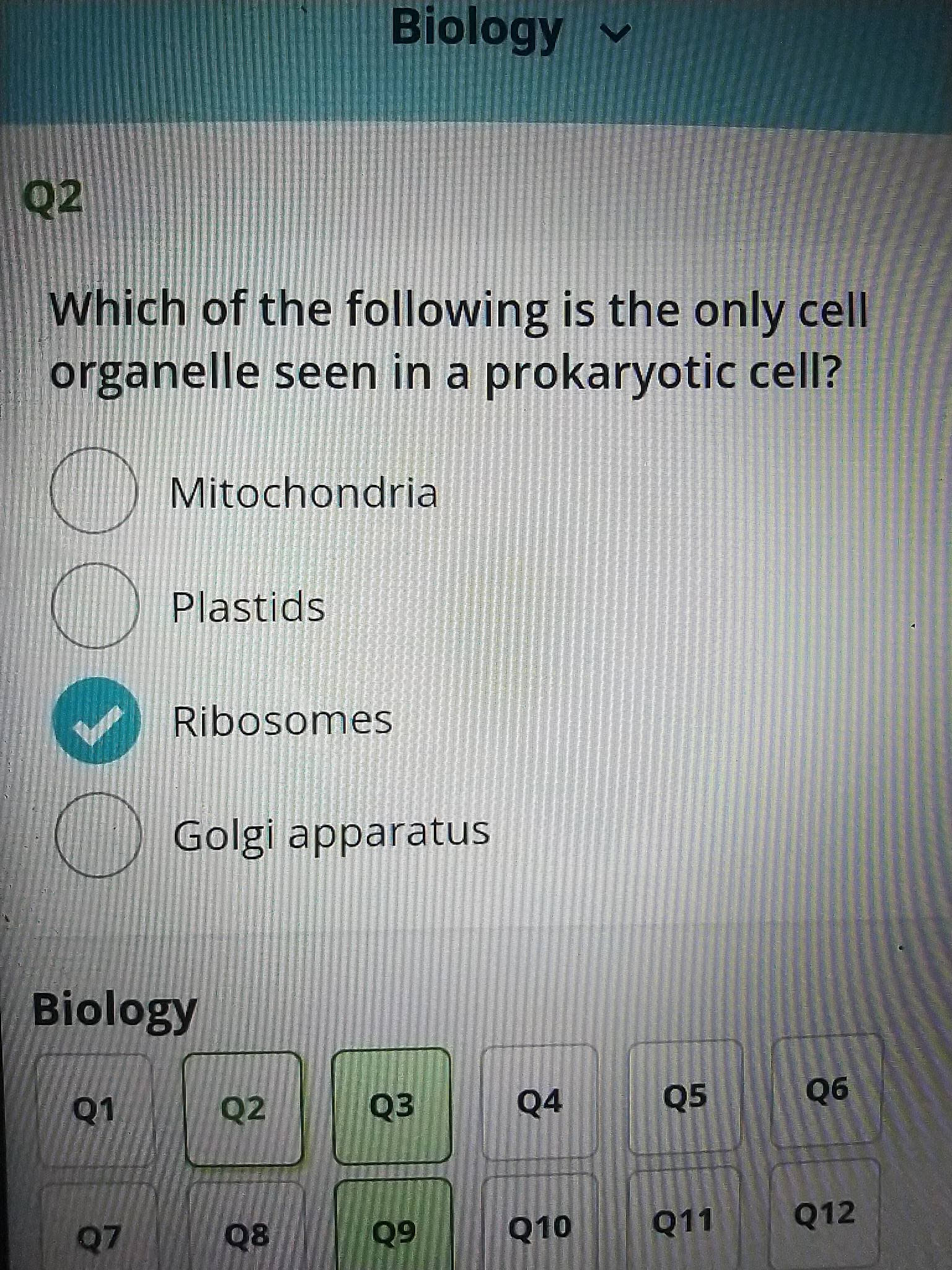 Biology v
Q2
Which of the following is the only cell
organelle seen in a prokaryotic cell?
Mitochondria
Plastids
Ribosomes
Golgi apparatus
Biology
Q2
Q3
Q4
Q5
90
Q7
08
Q10
60
Q11
Q12

