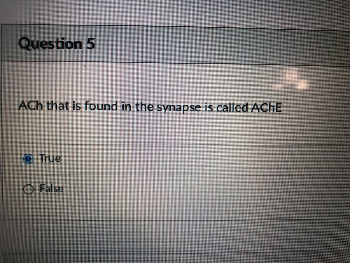 Question 5
ACh that is found in the synapse is called ACHE
True
O False
