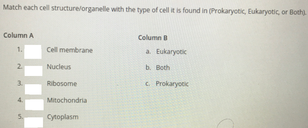 Match each cell structure/organelle with the type of cell it is found in (Prokaryotic, Eukaryotic, or Both).
Column A
Column B
1.
Cell membrane
a. Eukaryotic
2.
Nucleus
b. Both
3.
Ribosome
C. Prokaryotic
4.
Mitochondria
5.
Cytoplasm
