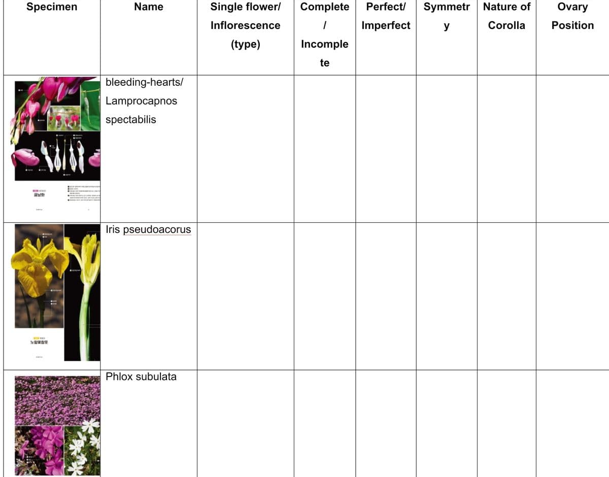 Specimen
MA
금낭화
노랑꽃창포
Name
bleeding-hearts/
Lamprocapnos
spectabilis
Iris pseudoacorus
Phlox subulata
Single flower/
Inflorescence
(type)
Complete Perfect/ Symmetr Nature of
1
Imperfect
y
Corolla
Incomple
te
Ovary
Position