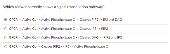 Which answer correctly shows a signal transduction pathway?
GPCR -> Active Gq -> Active Phospholipase C -> Cleaves PIP2 -> IP3 and DAG
GPCR -> Active Gq -> Active Phospholipase C -> Cleaves IP3 -> PIP2
GPCR -> Active Gq -> Active Phospholipase C -> Cleaves DAG -> PIP2 and IP3
GPCR -> Active Gq -> Cleaves PIP2 -> IP3-> Active Phospholipase C