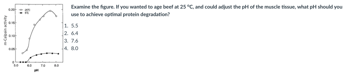 m-Calpain activity
0.2025°C
0.15-
0.10
0.05
0
5.0
5°C
6.0
PH
7.0
8.0
Examine the figure. If you wanted to age beef at 25 °C, and could adjust the pH of the muscle tissue, what pH should you
use to achieve optimal protein degradation?
1. 5.5
2. 6.4
3. 7.6
4. 8.0