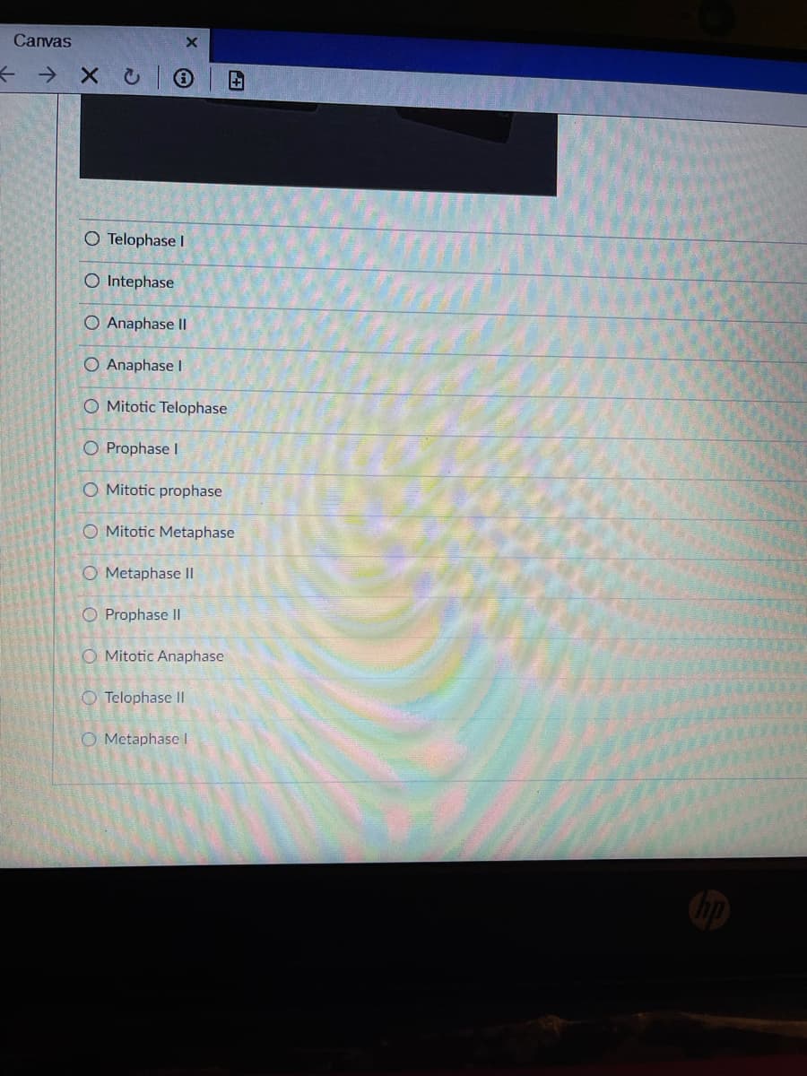 Canvas
O Telophase I
O Intephase
O Anaphase Il
O Anaphase I
O Mitotic Telophase
O Prophase I
O Mitotic prophase
O Mitotic Metaphase
O Metaphase II
O Prophase II
O Mitotic Anaphase
O Telophase Il
O Metaphase I
