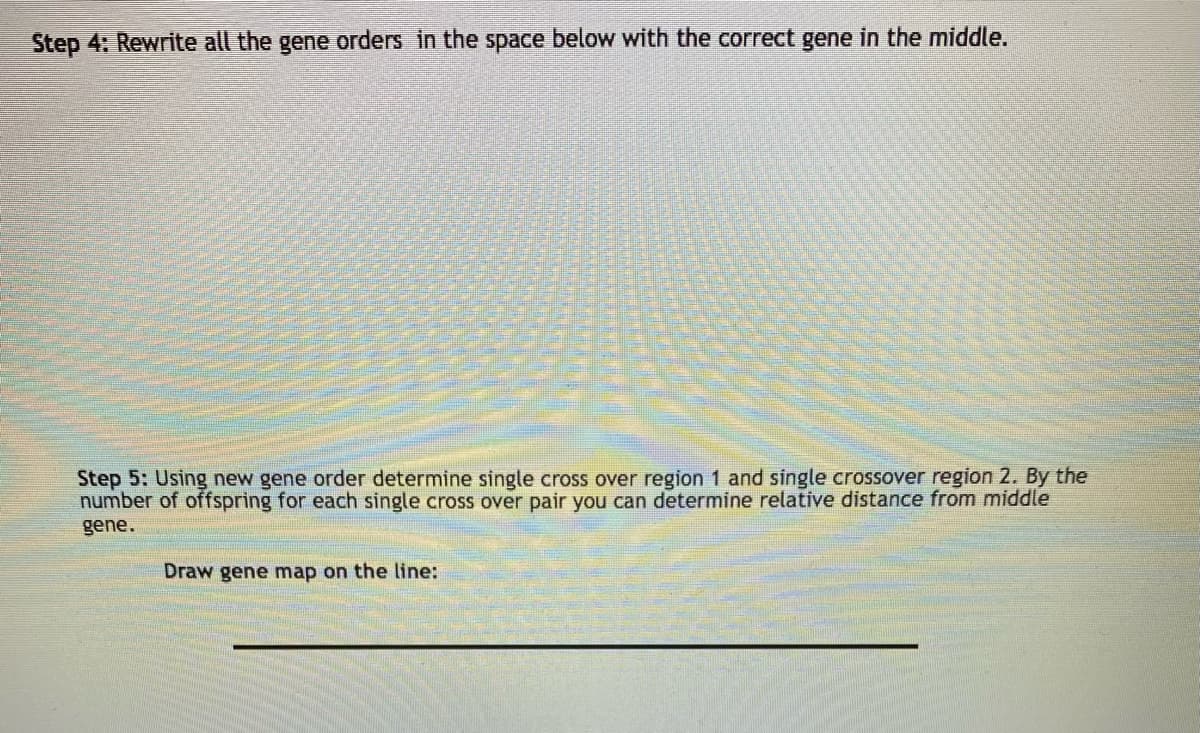 Step 4: Rewrite all the gene orders in the space below with the correct gene in the middle.
Step 5: Using new gene order determine single cross over region 1 and single crossover region 2. By the
number of offspring for each single cross over pair you can determine relative distance from middle
gene.
Draw gene map on the line:
