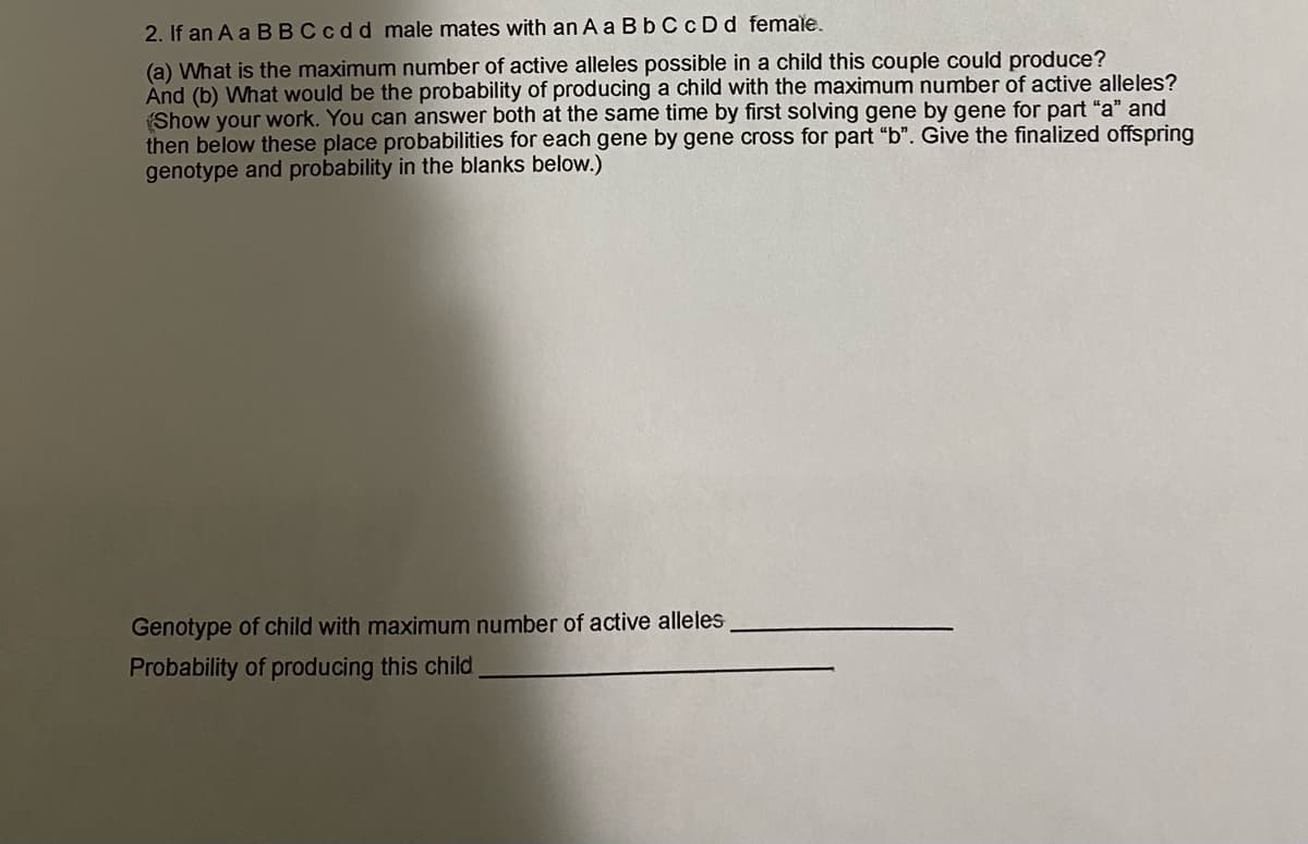 2. If an A a BBC cdd male mates with an A a B b C cDd female.
(a) What is the maximum number of active alleles possible in a child this couple could produce?
And (b) What would be the probability of producing a child with the maximum number of active alleles?
Show your work. You can answer both at the same time by first solving gene by gene for part "a" and
then below these place probabilities for each gene by gene cross for part ". Give the finalized offspring
genotype and probability in the blanks below.)
Genotype of child with maximum number of active alleles
Probability of producing this child
