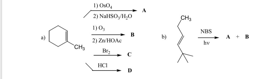 1) OsO4
2) NaHSO,/H,O
CH3
1) O3
NBS
a)
В
b)
A + B
2) Zn/HOAC
hv
CH3
Br2
HCl
D
