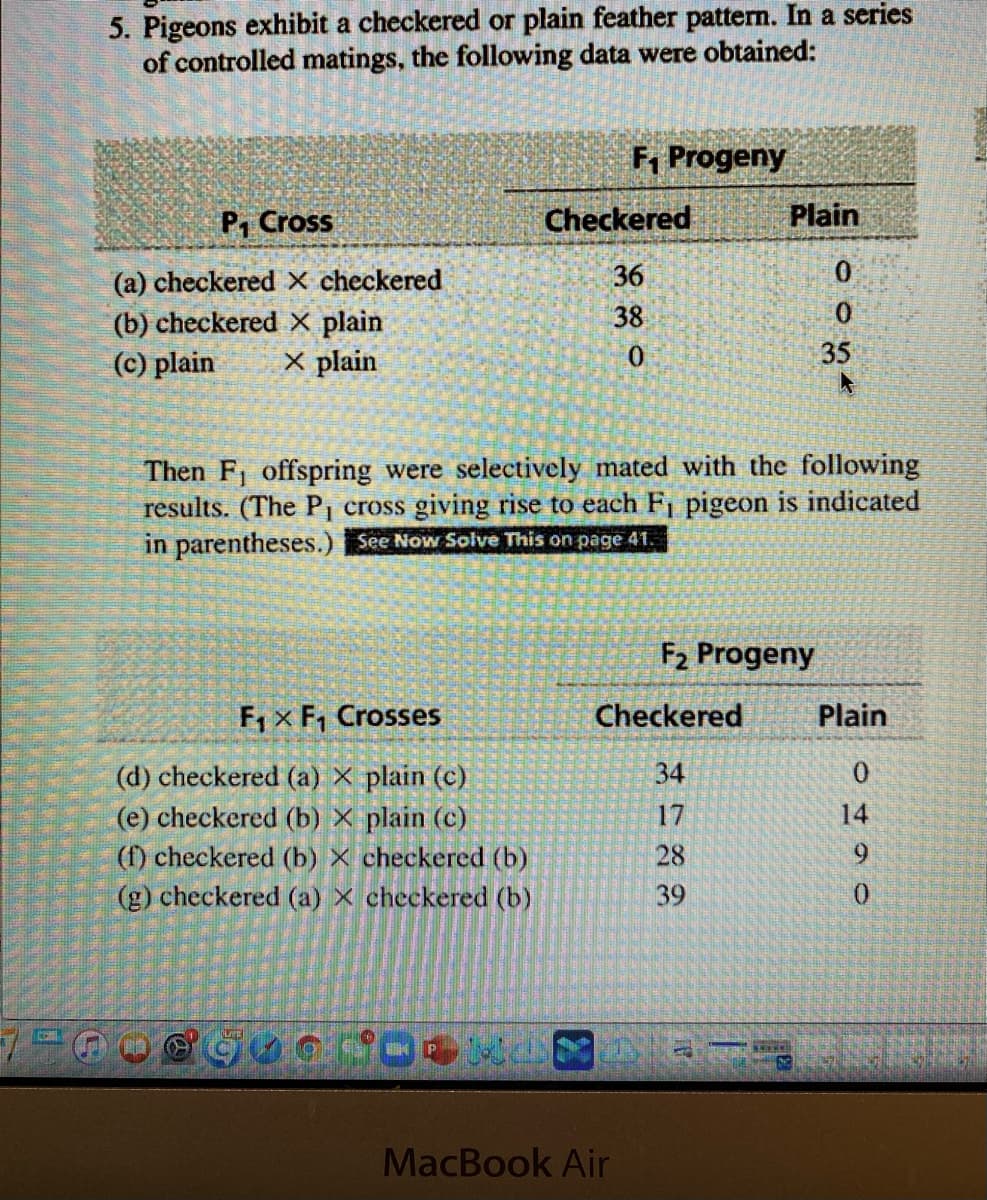 5. Pigeons exhibit a checkered or plain feather pattern. In a series
of controlled matings, the following data were obtained:
F, Progeny
P, Cross
Checkered
Plain
36
0.
(a) checkered X checkered
(b) checkered X plain
(c) plain
38
X plain
35
Then F, offspring were selectively mated with the following
results. (The P, cross giving rise to each Fi pigeon is indicated
in parentheses.) See Now Solve This on page 41.
F2 Progeny
F, x F, Crosses
Checkered
Plain
34
(d) checkered (a) X plain (c)
(e) checkered (b) X plain (c)
(f) checkered (b) X checkered (b)
(g) checkered (a) X checkered (b)
17
14
28
39
MacBook Air
