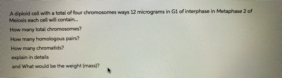 A diploid cell with a total of four chromosomes ways 12 micrograms in G1 of interphase in Metaphase 2 of
Meiosis each cell will contain...
How
many
total chromosomes?
How many homologous pairs?
How many chromatids?
explain in details
and What would be the weight (mass)?

