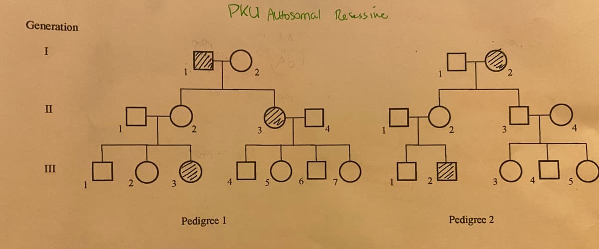 PKU Autosomal Resessine
Generation
ZO,
II
3
4.
3
4
III
1
Pedigree 1
Pedigree 2
