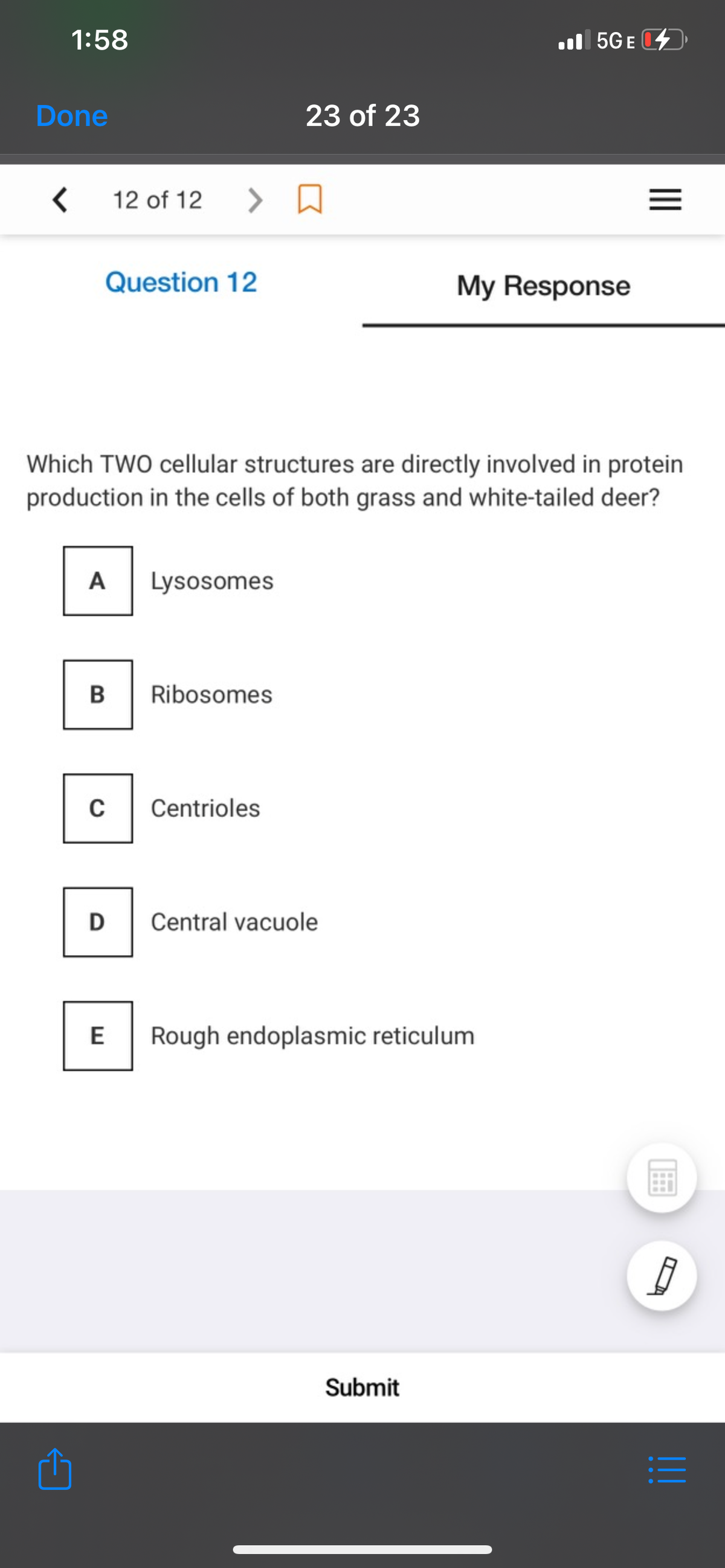 1:58
l 5GE
Done
23 of 23
12 of 12
Question 12
My Response
Which TWO cellular structures are directly involved in protein
production in the cells of both grass and white-tailed deer?
A
Lysosomes
Ribosomes
Centrioles
D
Central vacuole
E
Rough endoplasmic reticulum
Submit
II
