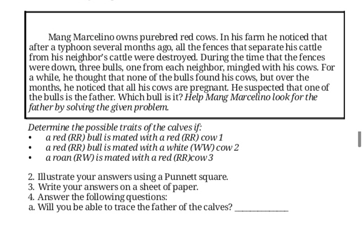Mang Marcelino owns purebred red cows. In his farm he noticed that
after a typhoon several months ago, all the fences that separate his cattle
from his neighbor's cattle were destroyed. During the time that the fences
were down, three bulls, one from each neighbor, mingled with his cows. For
a while, he thought that none of the bulls found his cows, but over the
months, he noticed that all his cows are pregnant. He suspected that one of
the bulls is the father. Which bull is it? Help Mang Marcelino look for the
father by solving the given problem.
Determine the possible traits of the calves if:
• a red (RR) bull is mated with a red (RR) cow 1
a red (RR) bull is mated with a white (WW) cow 2
• a roan (RW) is mated with a red (RR)cow 3
2. Illustrate your answers using a Punnett square.
3. Write your answers on a sheet of paper.
4. Answer the following questions:
a. Will you be able to trace the father of the calves?
